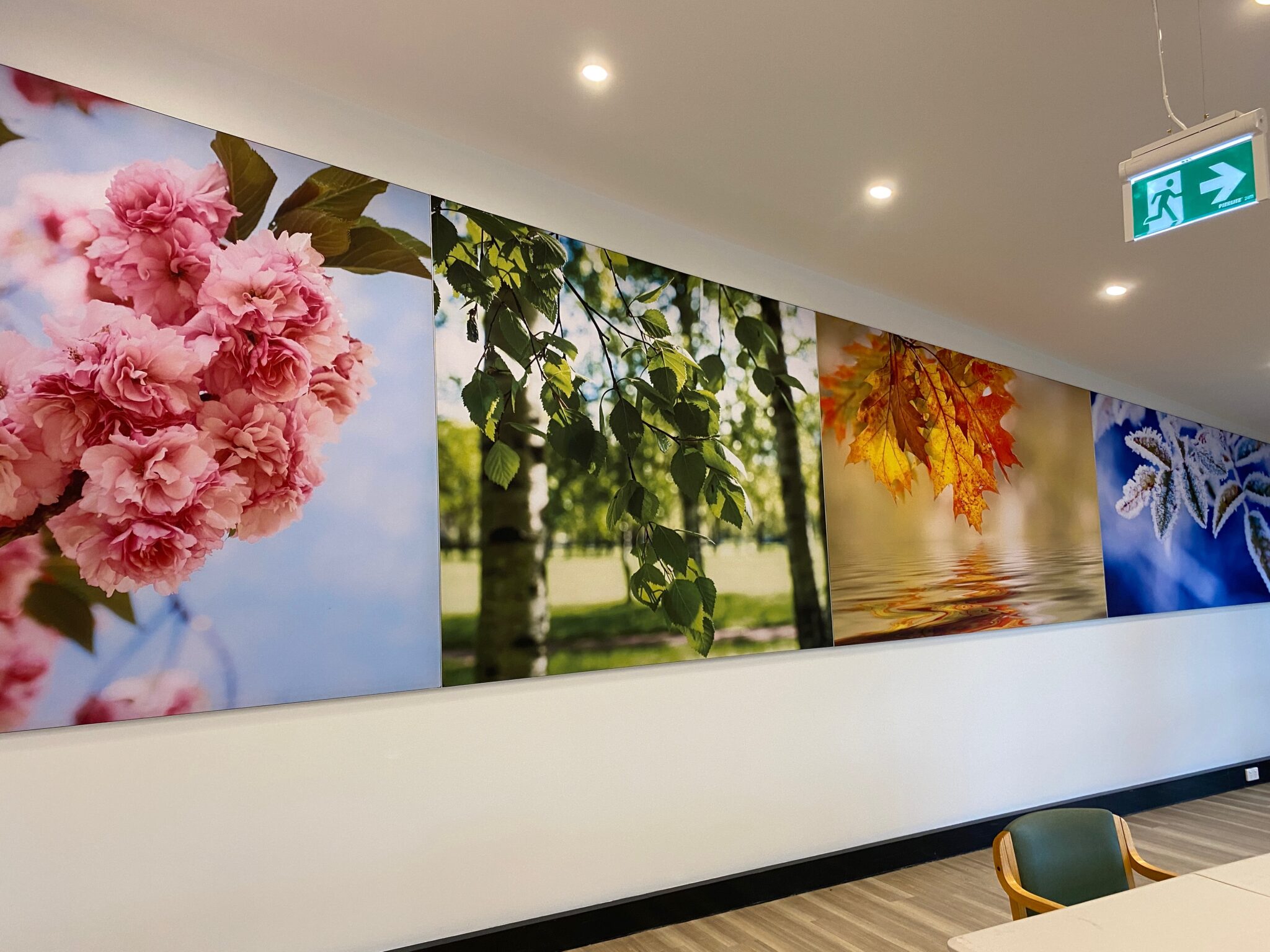 20200912_053537258_iOS